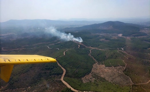 İzmir'de orman yangını