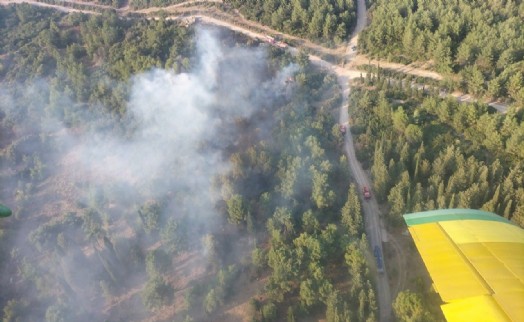 İzmir'deki orman yangını kontrol altında