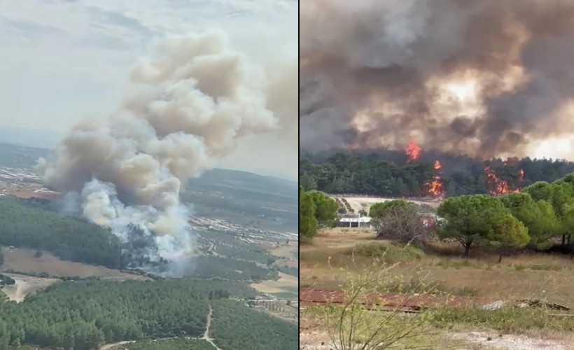 İzmir’deki orman yangını kontrol altında!