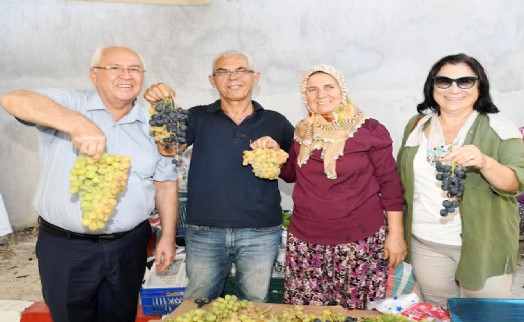 Kavacık 11. kez şenlenecek