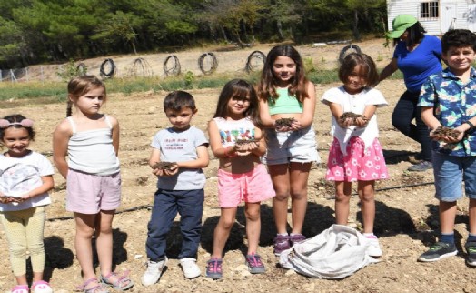 Kışlık sebze tohumları Bornova Belediyesi'nden