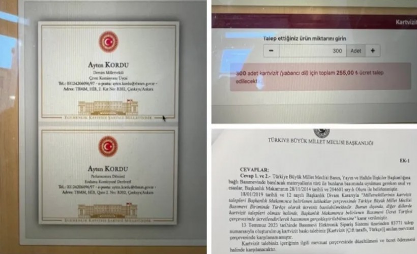 Türkçe kartviziti ücretsiz basan Meclis Kürtçe için para istedi
