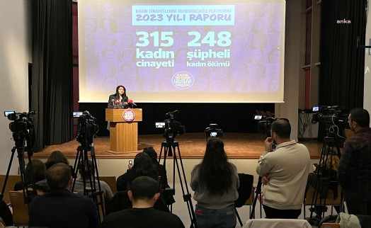 Türkiye'de 2023'te 315 kadın öldürüldü