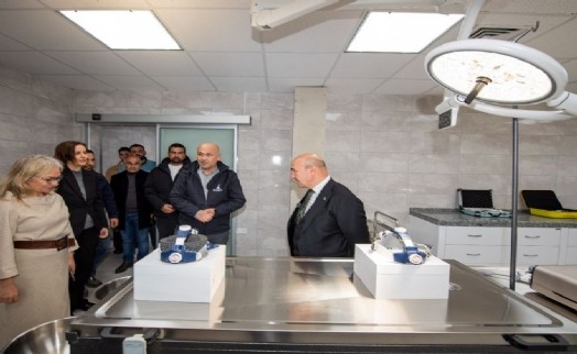 Sahipsiz hayvan hastanesi İzmir'de kuruldu