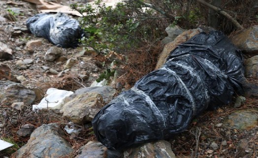 İzmir'de çöp poşetleri içerisinde köpek ölüleri bulundu