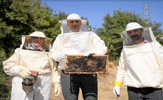 Bornova'da bal gibi proje: Başkan Eşki'den bal hasadı