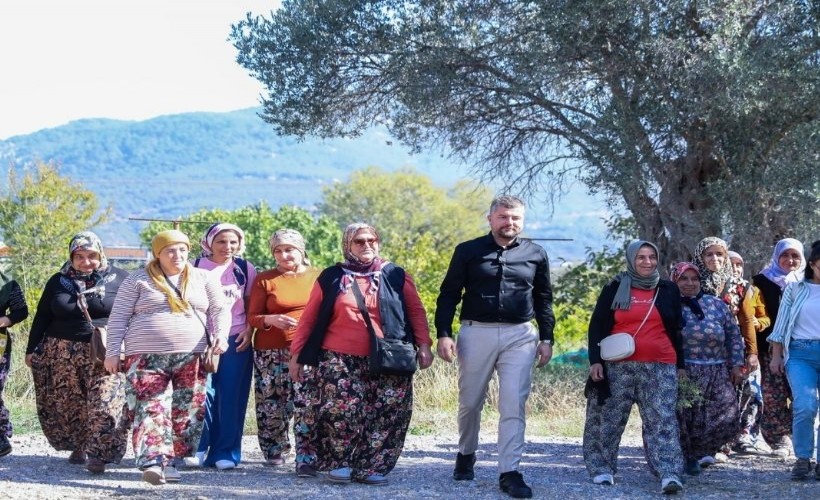 Başkan Görkem Duman, çiftçi kadınlarla ilk zeytin hasadına katıldı