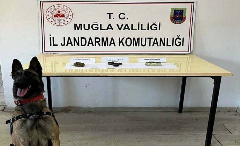 Muğla'da uyuşturucu operasyonlarında 6 gözaltı