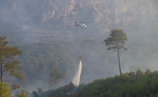 Muğla'nın 3 ilçesinde orman yangını; alevlere müdahale sürüyor