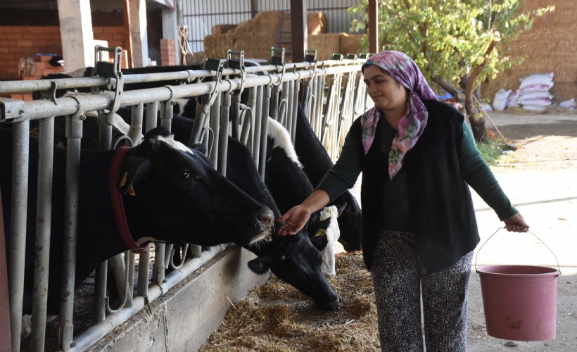 Hediye keçiyle hayvancılığa başladı; sürü sahibi oldu