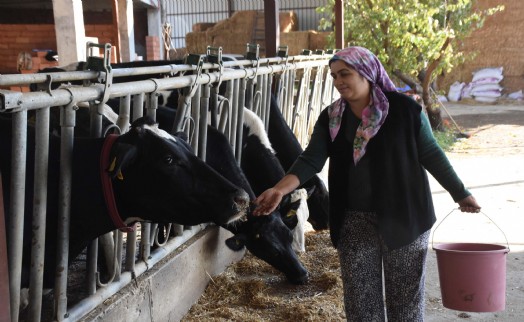 Hediye keçiyle hayvancılığa başladı; sürü sahibi oldu