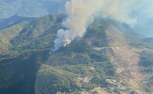 Muğla'da orman yangını kontrol altına alındı