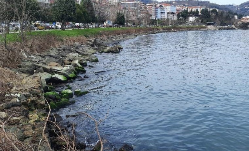 Ordu Belediyesi'nin 'ÇED gerekli değildir' kararına mahkemeden iptal