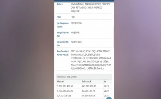 Petlas'ın 'Milyarderim' diyen sahibi vergi yüzsüzü çıktı
