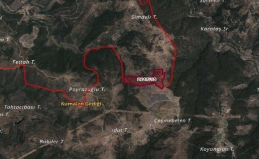 Beşiktaş'ın GES projesi ağaçları tehdit ediyor: Yüzlerce ağaç kesilebilir!