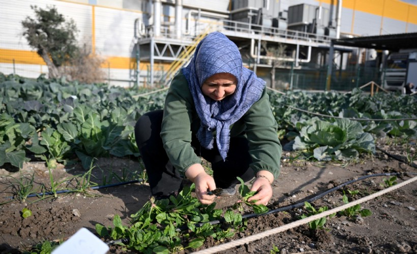 Bornova'da kadınlar çiftçiliği ve dayanışmayı öğreniyor: Kent Bostanı kadın eliyle yeşerdi