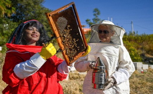 Bornova'da Arıcılık Kursu kayıtları başladı