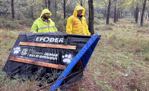 Buca'da atık malzemeler sokak hayvanları için yuvaya dönüşüyor