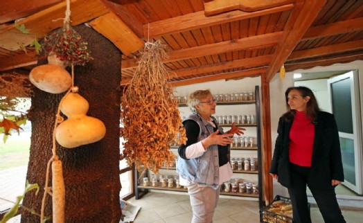 Karşıyaka'da yerel tohum bereketi