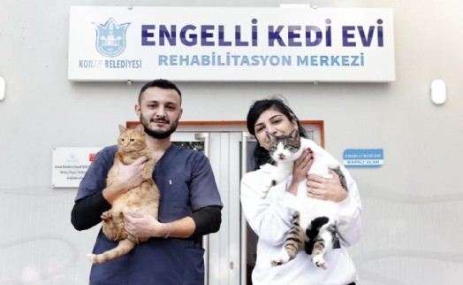 Konak'ın engelleri aşan Kedi Evi'nden sahiplenme çağrısı