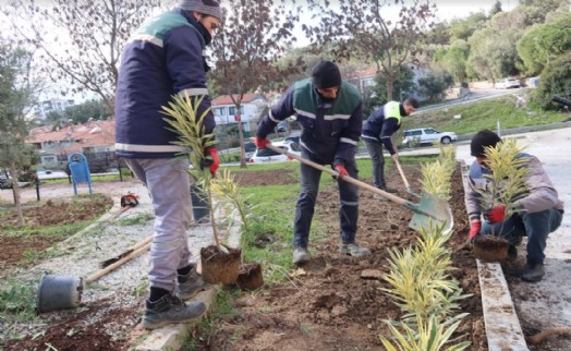 Bornova'da parklara yeni bitkiler dikiliyor