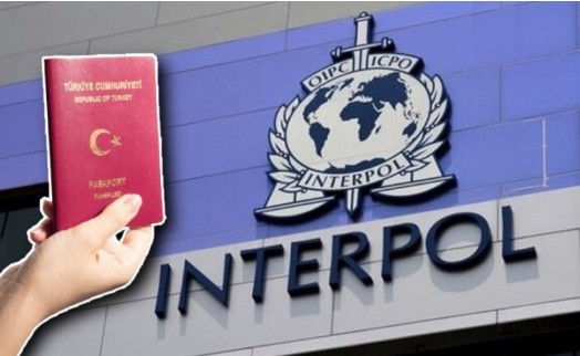 Interpol'den Türkiye kararı: Sistem askıya alındı
