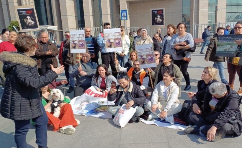 'Kedi katili Fatih Mehmet Öztürk davası' ertelenmesine oturma eylemi