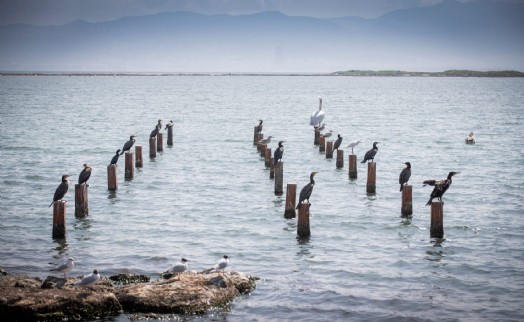 Flamingo Doğa Parkı'nda yüzde 80'lere gelindi