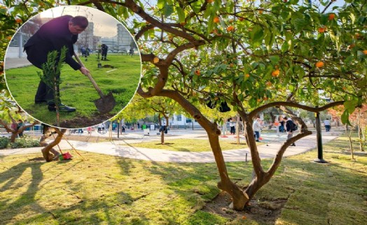 Karşıyaka Belediyesi'nden 5 yıllık 'yeşil' hamle!