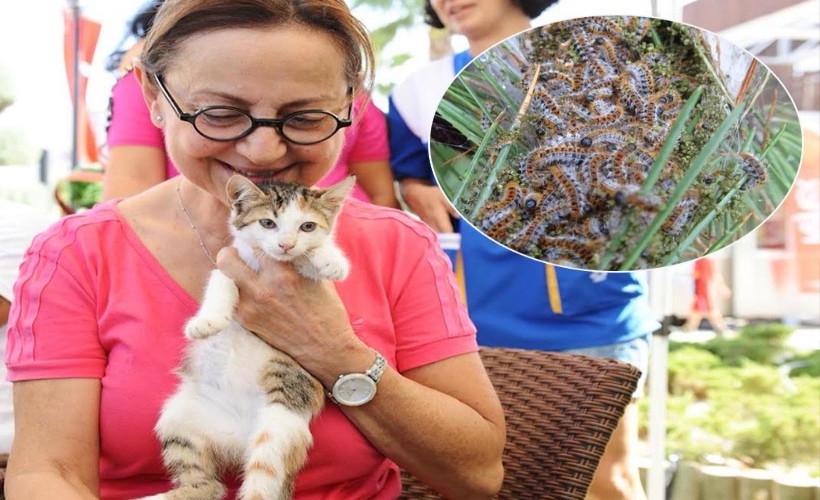 Karşıyaka Belediyesi’nden can dost sahiplerine hayati uyarı!