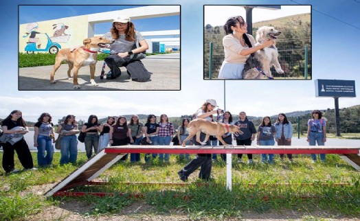 4 Nisan Dünya Sokak Hayvanları Günü PAKO'da kutlandı