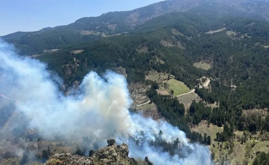 Gediz'de orman yangınında 2 hektar alan küle döndü