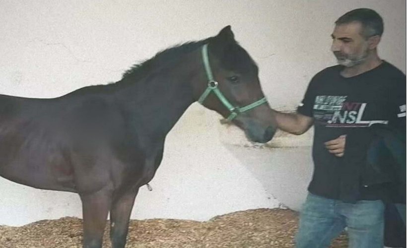 Tek yumruk darbesiyle hastanelik olan seyisten 97 gün sonra acı haber!