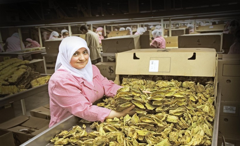 Tütün sektöründe hedef 1 milyar dolar ihracat