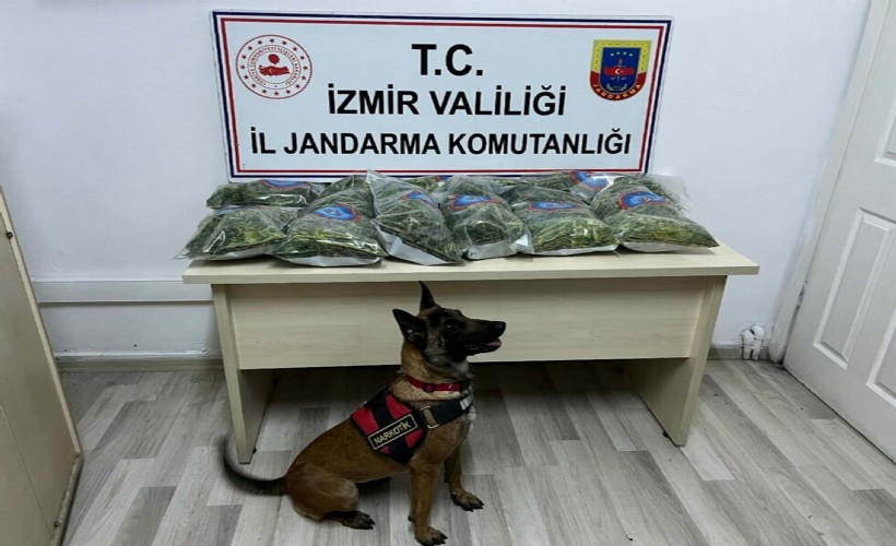 10 kilo uyuşturucuyu narkotik köpeği 'Aysar' buldu