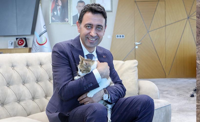 Başkan Önal, yaralı kediye sahip çıktı ‘sahiplenme’ çağrısı yaptı