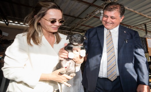 Başkan Tugay'dan sokaktaki canlar için önemli adım