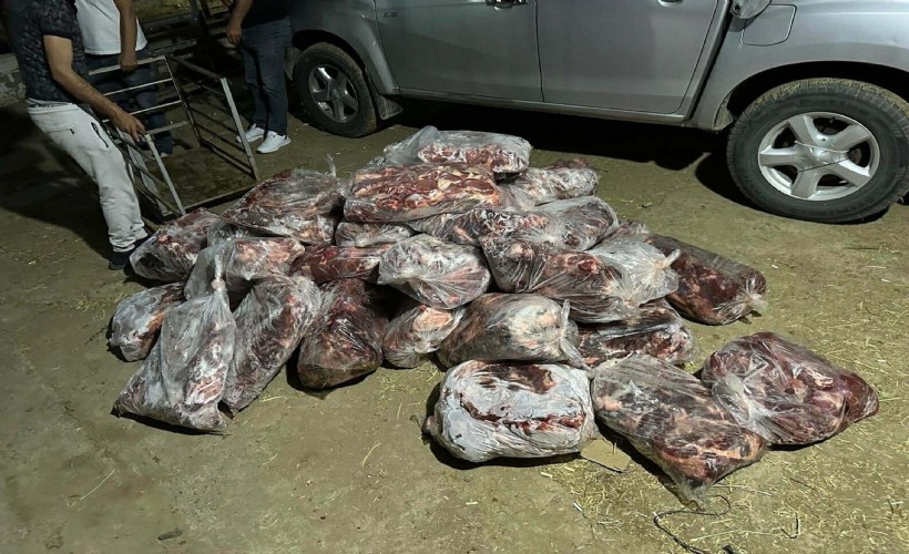 1 ton kesilmiş domuz eti ele geçirildi