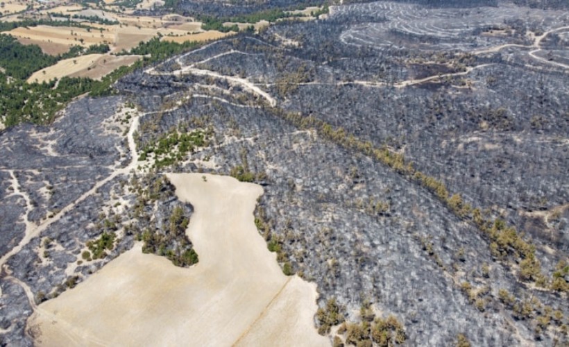 40 saat süren orman yangınında acı tablo ortaya çıktı