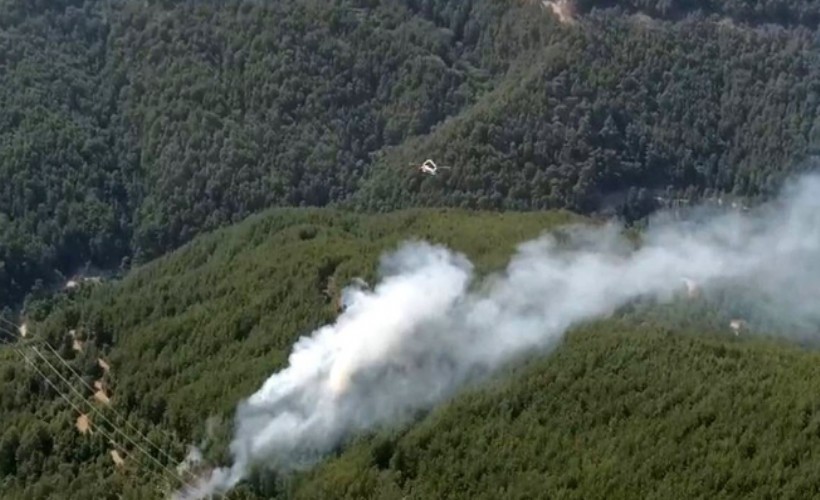 Antalya cayır cayır yanıyor: Manavgat'ta da orman yangını çıktı!