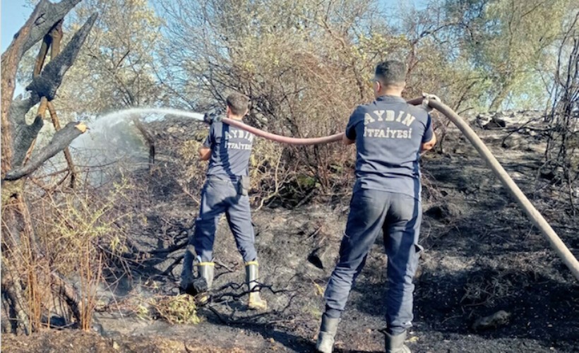 Aydın'da 48 saatte 81 yangına müdahale edildi