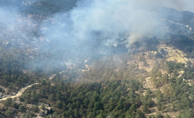 Aydın'da çıkan orman yangını 5 saatte söndürüldü