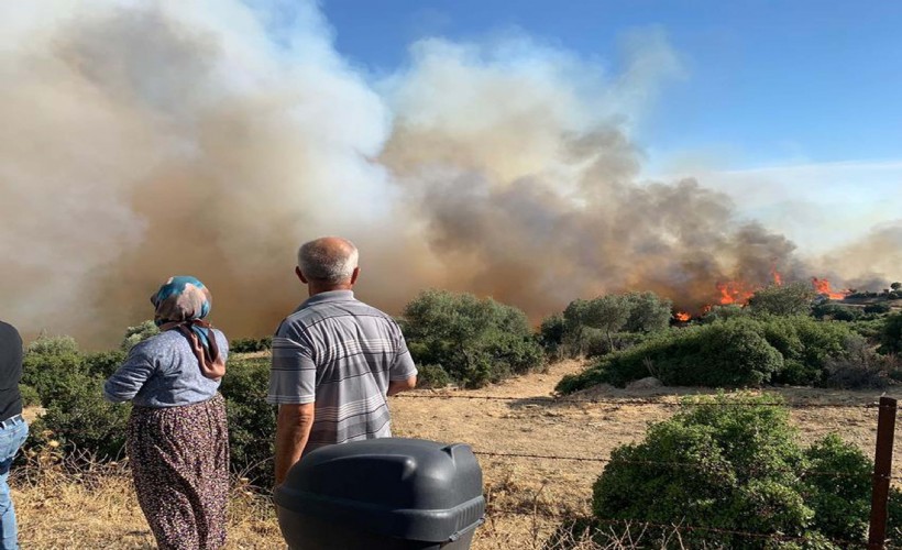 Aydın'da orman yangını; 2 saat sonra kontrol altına alındı
