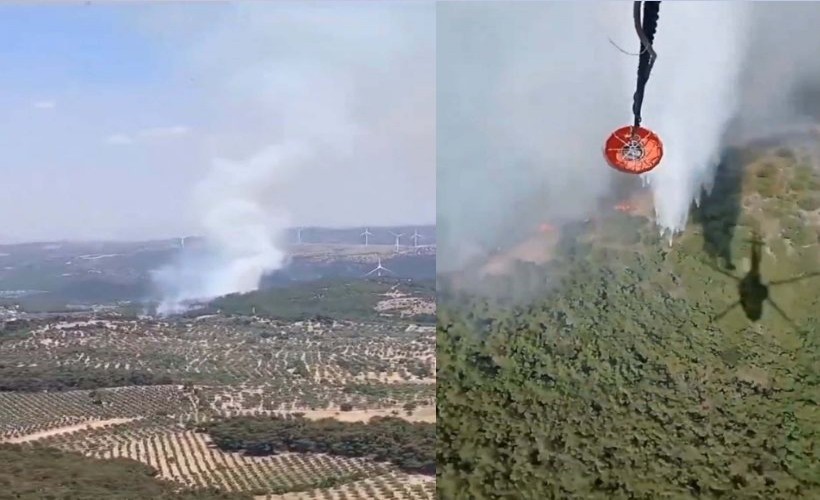 Bergama'da orman yangını! 2,5 saatte kontrol altına alındı
