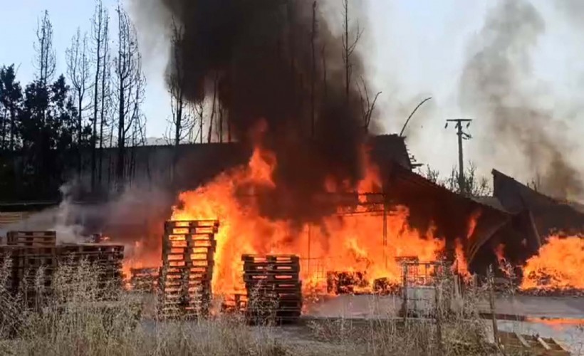 İzmir'de ot yangını fabrikaya sıçradı; 1 saatte kontrol altına alındı