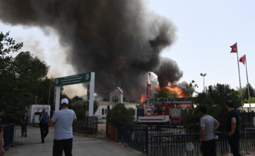 Bornova'da korkutan yangın: Can Dostları yangından kurtarıldı