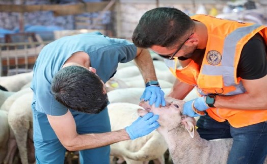 Buca'da Belediyesi'nden vatandaşlara uyarı: Kurban seçerken dikkat!