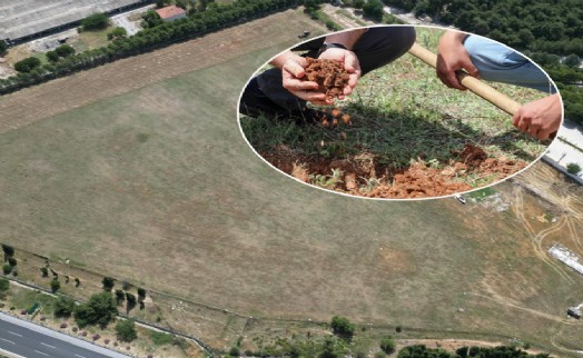 Buca'da dayanışma büyüyor: Bir aile, 66 bin metrekare araziyi belediyeye bağışladı