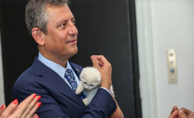 CHP'nin yeni üyesi 'Zafer' oldu: Özgür Özel, yavru kediyi sahiplendi