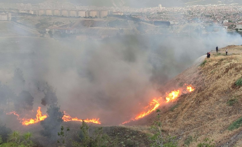 Denizli'deki orman yangını ile ilgili 3 kişiye gözaltı